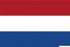 Bandiera Olanda 30 x 45 cm 